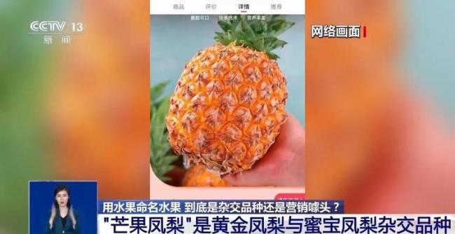 芒果凤梨没芒果 网红水果涉嫌误导 命名需规范